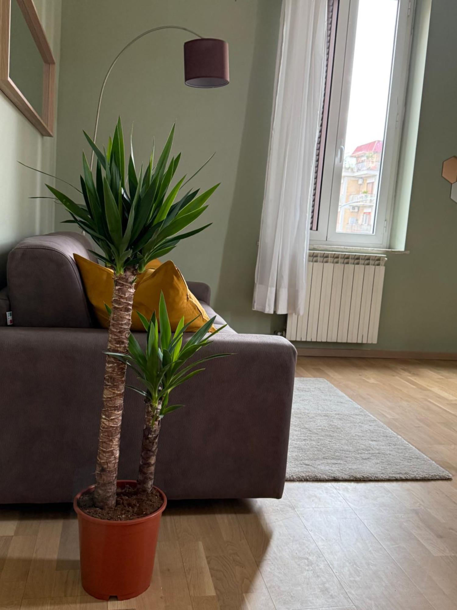 The Beauty House Semesterbostad Rom
